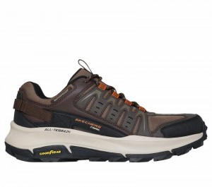 Tenis de Senderismo Skechers Waterproof Relaxed Fit: Equalizer 5.0 Trail - Trinity Pines Hombre Marrom Naranjas | 235790SIR